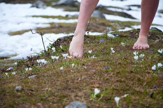 The Science of Grounding: Reconnect with Nature at Buffalo Pound Eco Lodge 🌍✨