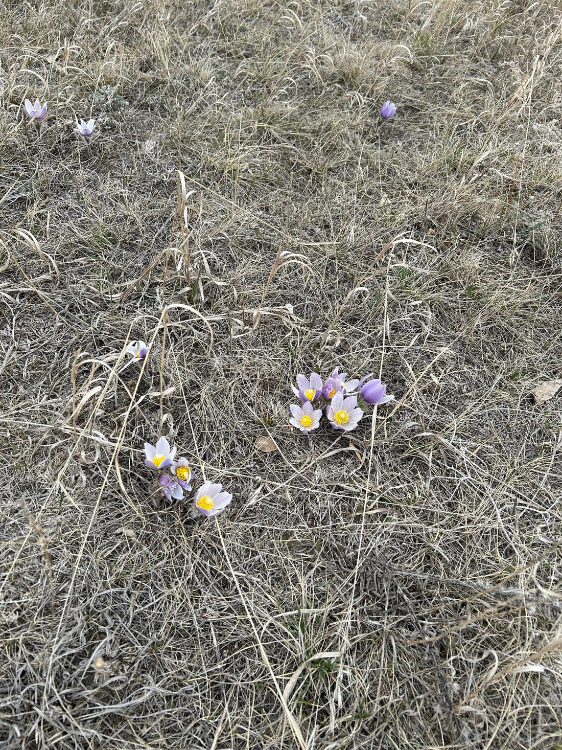 We're getting excited to Spring forward!