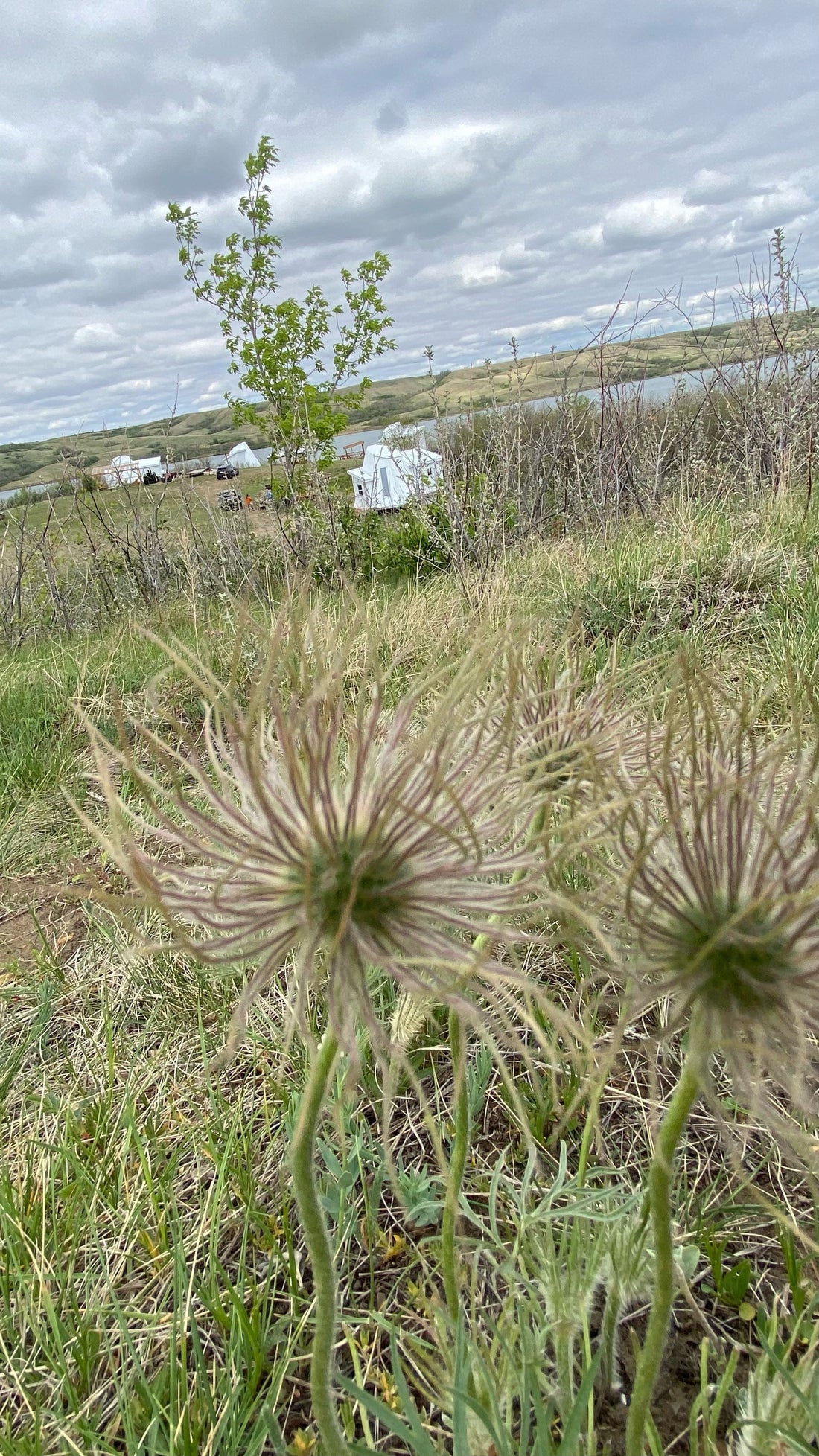 Beyond Glamping: Discover a Deeper Kind of Summer Escape in Saskatchewan