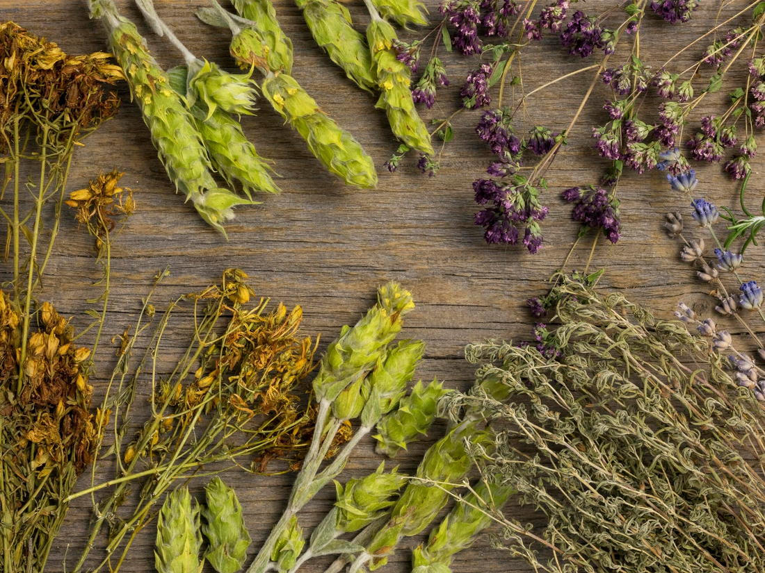 The Significance of Indigenous Medicine Walks: A Journey of Healing and Connection🌾🌱