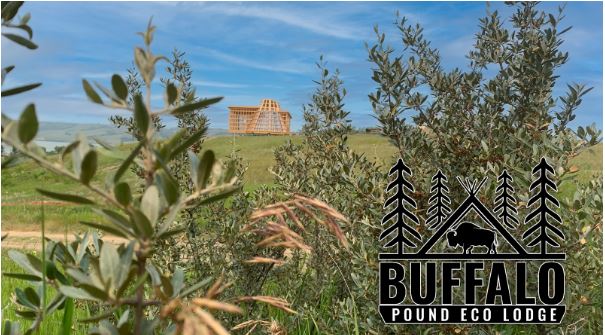 Beyond Glamping: A Transformational Stay at Buffalo Pound Eco Lodge ✨🏕️