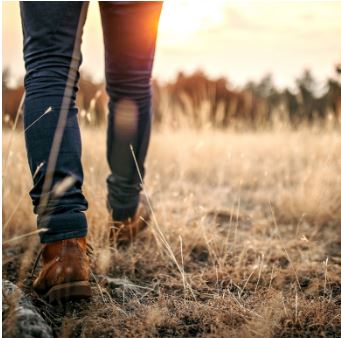 ✨ Find Peace in Nature’s Embrace at Buffalo Pound Eco Lodge 🌾